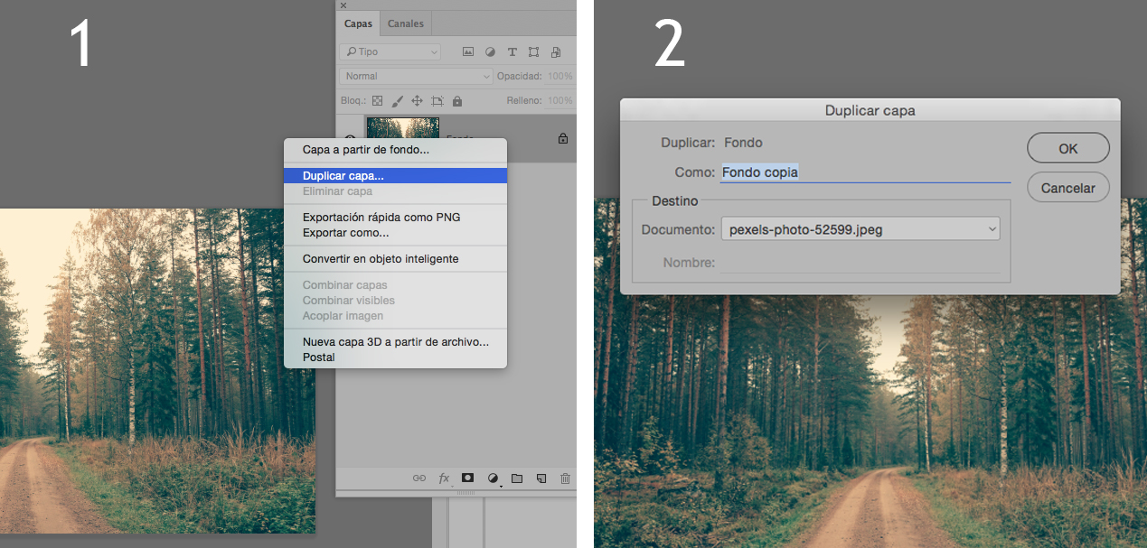 duplicar capa photoshop